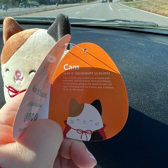 Squishmallow NEW Halloween Cam the Vampire Calico Cat 4.5” - Picture 3 of 3